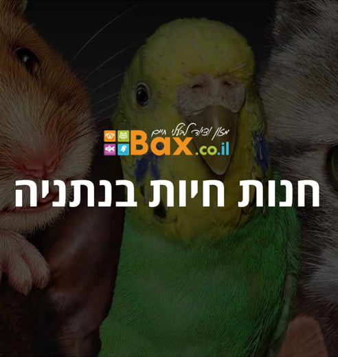 חנות חיות בנתניה - דף נחיתה לעסקים