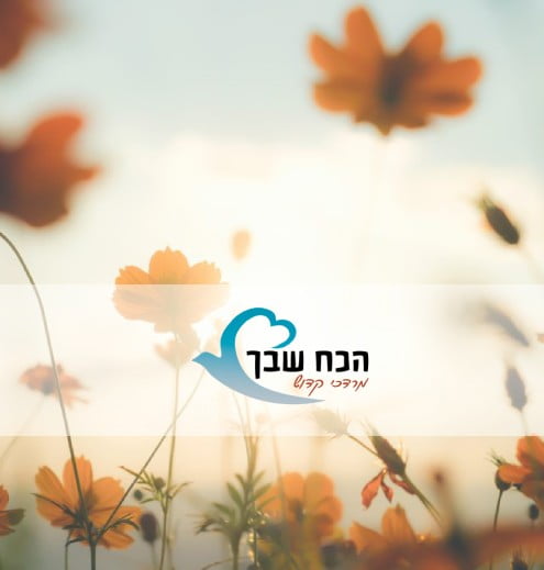 פסיכותרפיסט הוליסטי בירושלים, מרדכי קדוש - דף נחיתה לעסקים