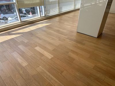 תמונה של WhatsApp‏ 2023-10-09 בשעה 09.56.37_d0f8158e