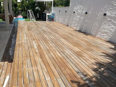 תמונה של WhatsApp‏ 2024-10-22 בשעה 11.15.31_136a9159